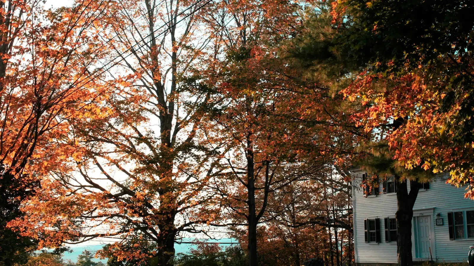 Roof Replacement in Bayonne - Roof Replacement in Bayonne